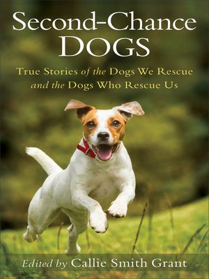 cover image of Second-Chance Dogs